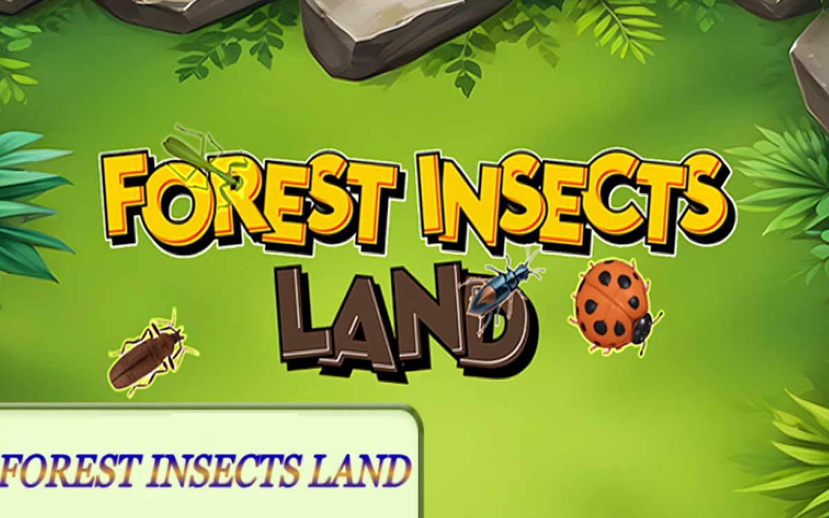 Forest Insects Land - Brain game